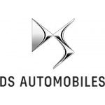 Shop DS Diamond Car Mats UK