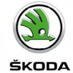 Shop Skoda Diamond Car Mats UK