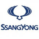 Shop Ssangyong Diamond Car Mats UK
